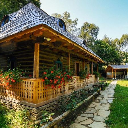 Casa Lu' Ion Villa Vişeu de Sus Eksteriør billede