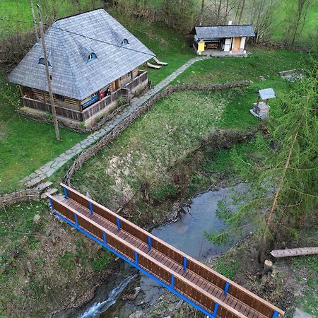 Casa Lu' Ion Villa Vişeu de Sus Eksteriør billede