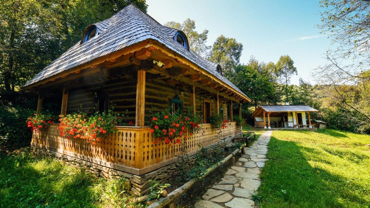 Casa Lu' Ion Villa Vişeu de Sus Eksteriør billede