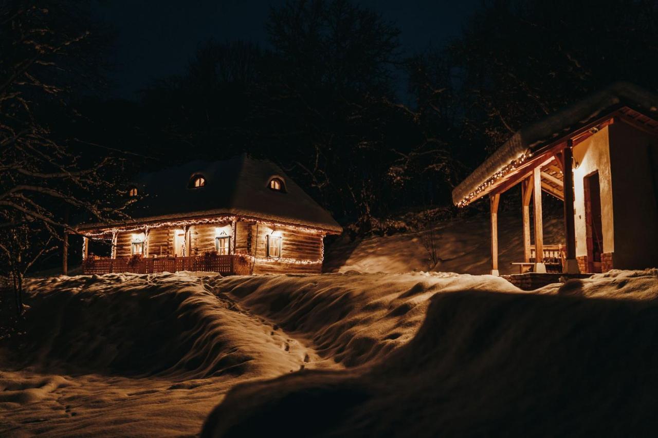 Casa Lu' Ion Villa Vişeu de Sus Eksteriør billede