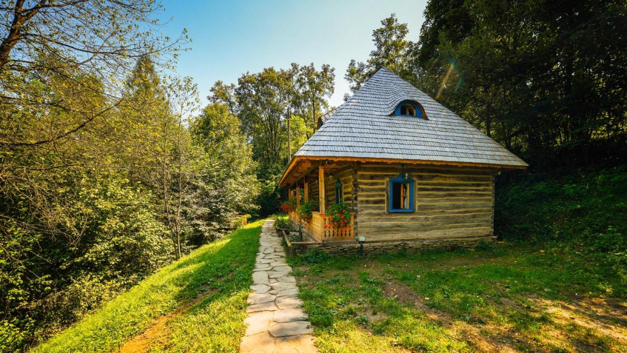 Casa Lu' Ion Villa Vişeu de Sus Eksteriør billede
