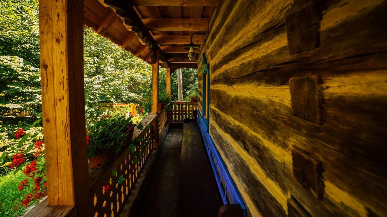 Casa Lu' Ion Villa Vişeu de Sus Eksteriør billede