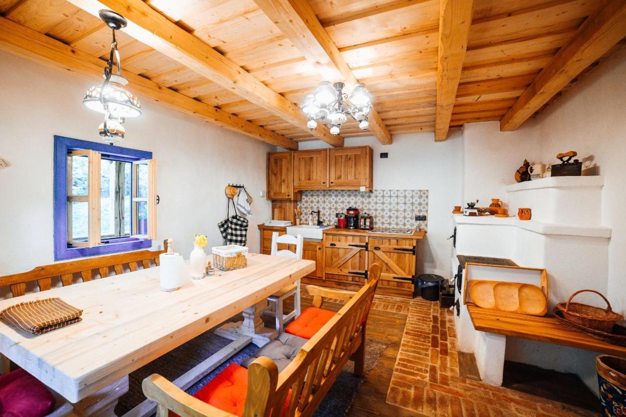 Casa Lu' Ion Villa Vişeu de Sus Eksteriør billede