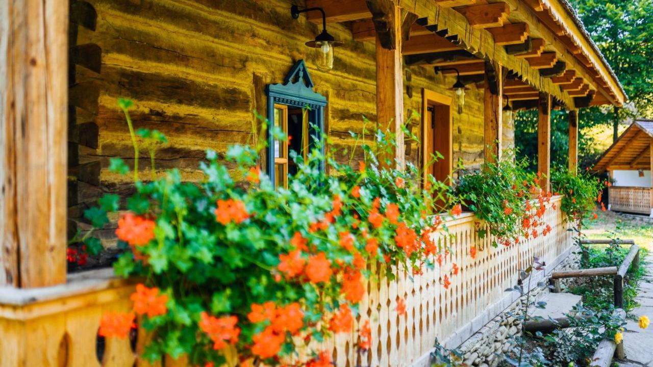Casa Lu' Ion Villa Vişeu de Sus Eksteriør billede