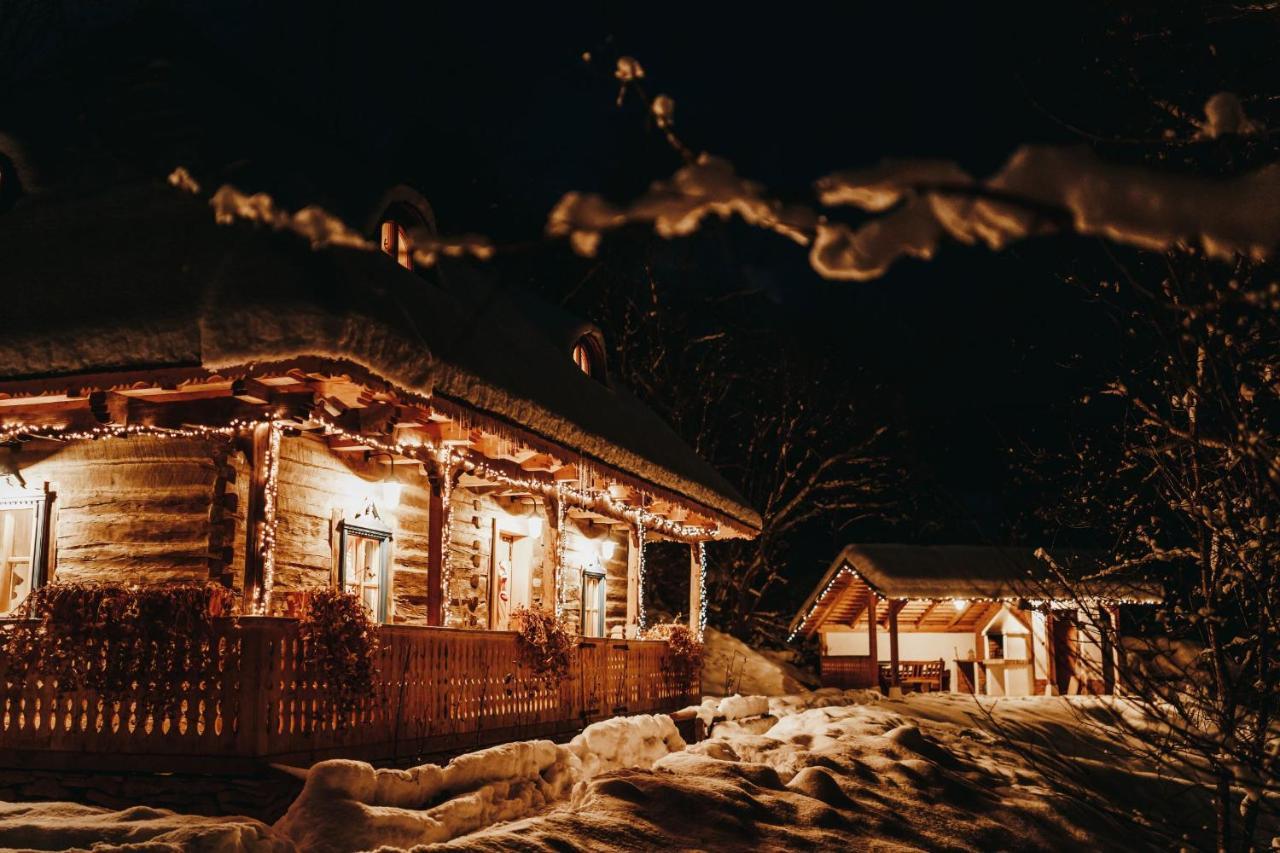 Casa Lu' Ion Villa Vişeu de Sus Eksteriør billede