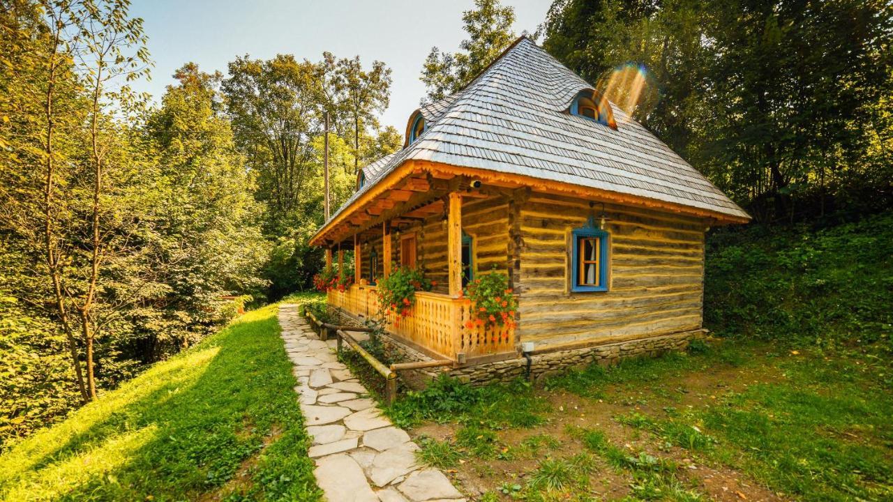 Casa Lu' Ion Villa Vişeu de Sus Eksteriør billede