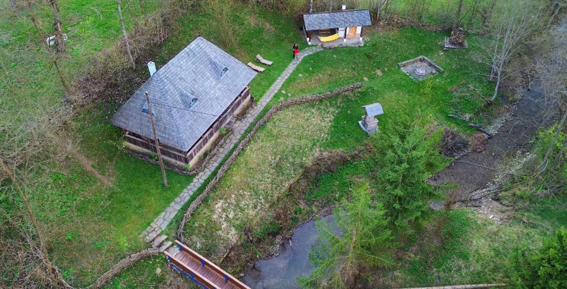 Casa Lu' Ion Villa Vişeu de Sus Eksteriør billede