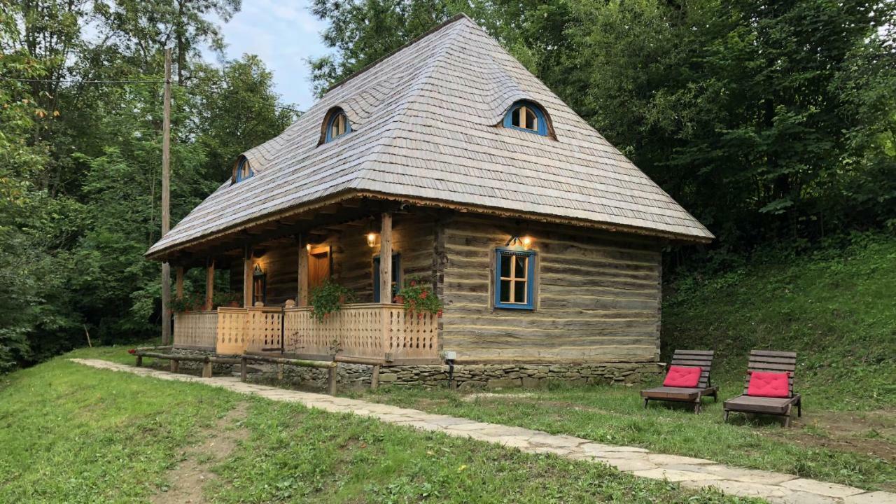 Casa Lu' Ion Villa Vişeu de Sus Eksteriør billede