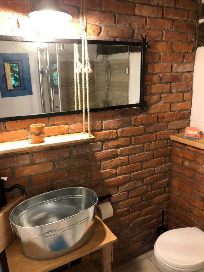 Casa Lu' Ion Villa Vişeu de Sus Eksteriør billede