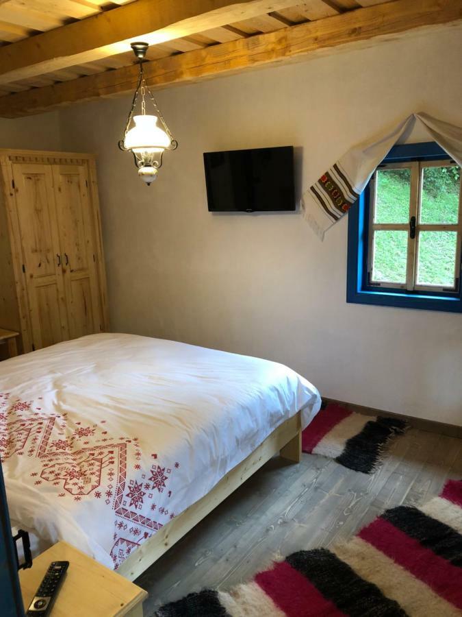 Casa Lu' Ion Villa Vişeu de Sus Eksteriør billede