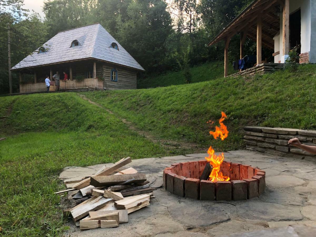 Casa Lu' Ion Villa Vişeu de Sus Eksteriør billede